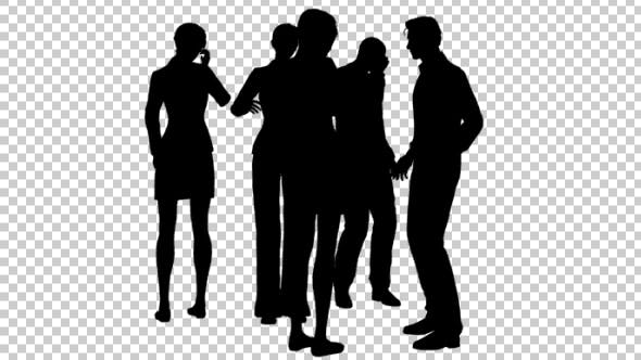Group Silhouette - Download Videohive 19449051
