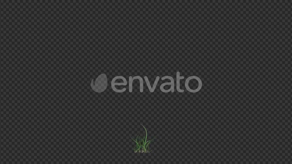 Growing Blue Flower Videohive 22383212 Motion Graphics Image 2