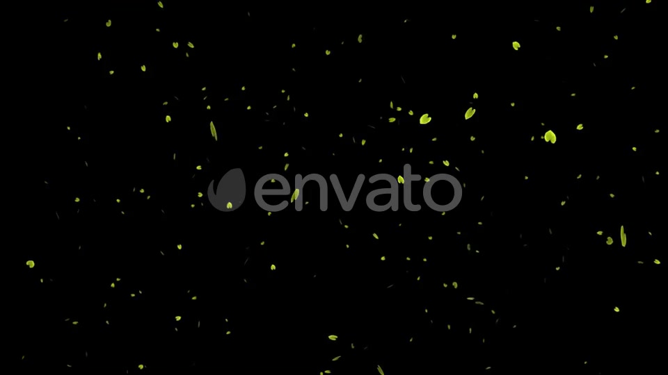 Growing Tree Videohive 23237684 Motion Graphics Image 10