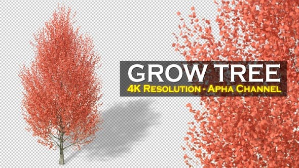 Growing Tree 4K - Videohive Download 22957704