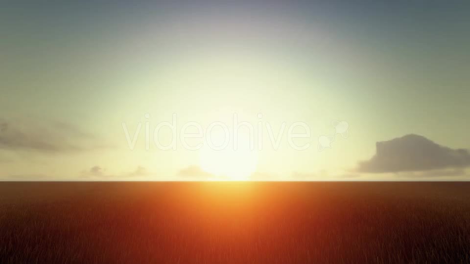 Growing Tree At Sunrise Videohive 19449209 Motion Graphics Image 1