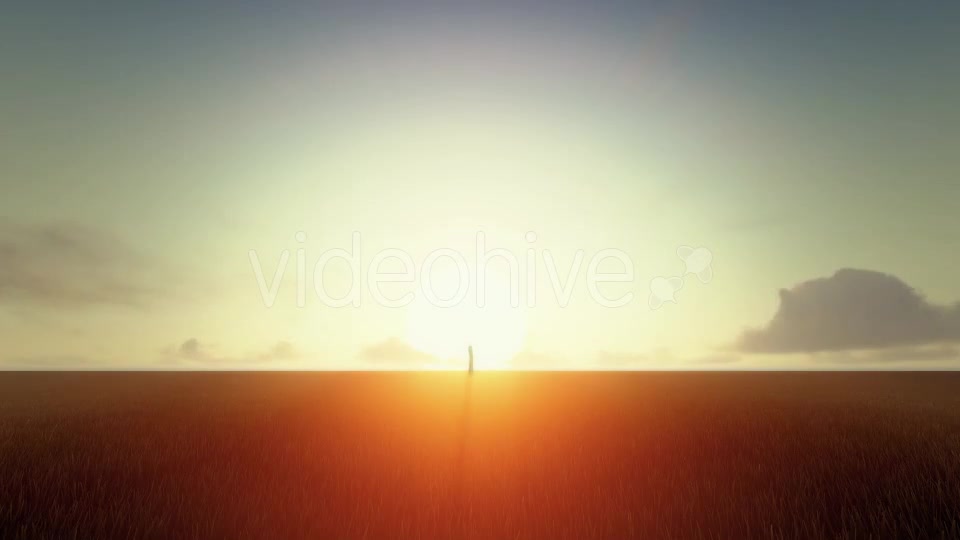 Growing Tree At Sunrise Videohive 19449209 Motion Graphics Image 2