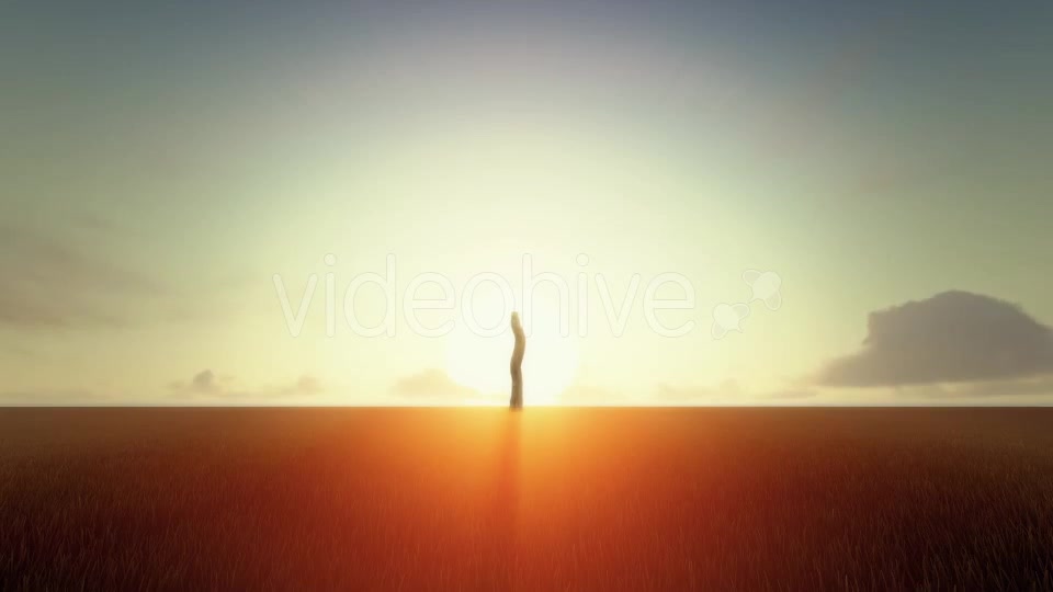 Growing Tree At Sunrise Videohive 19449209 Motion Graphics Image 3
