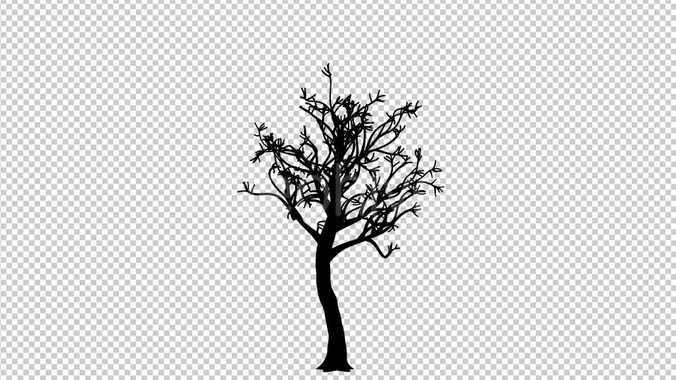 Growing Tree Silhouette Animation Videohive 19519003 Motion Graphics Image 4
