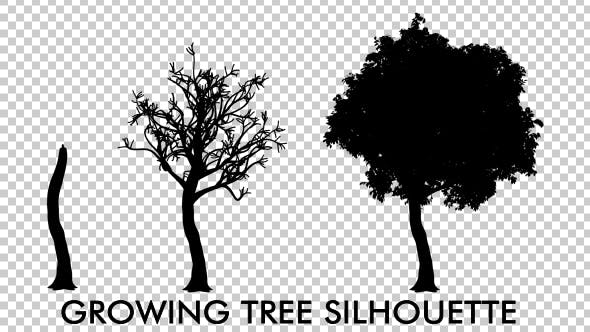 Growing Tree Silhouette Animation - Videohive Download 19519003