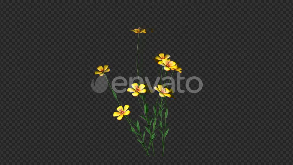 Growing Yellow Flower Videohive 22391235 Motion Graphics Image 6
