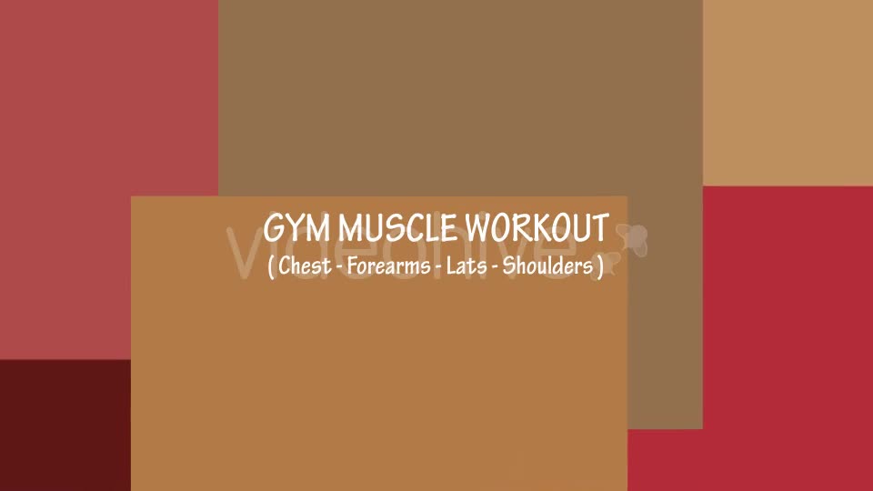 Gym Muscle Workout (Chest Forearms Lats Shoulders) Videohive 18624004 Motion Graphics Image 1
