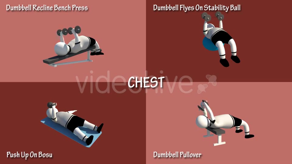 Gym Muscle Workout (Chest Forearms Lats Shoulders) Videohive 18624004 Motion Graphics Image 10