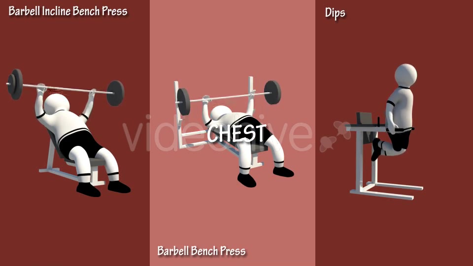 Gym Muscle Workout (Chest Forearms Lats Shoulders) Videohive 18624004 Motion Graphics Image 11