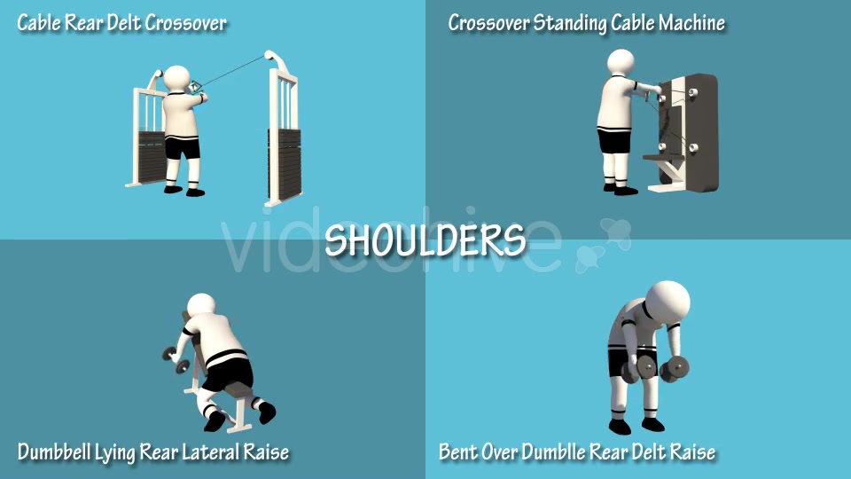 Gym Muscle Workout (Chest Forearms Lats Shoulders) Videohive 18624004 Motion Graphics Image 3