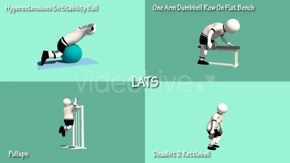 Gym Muscle Workout (Chest Forearms Lats Shoulders) Videohive 18624004 Motion Graphics Image 6