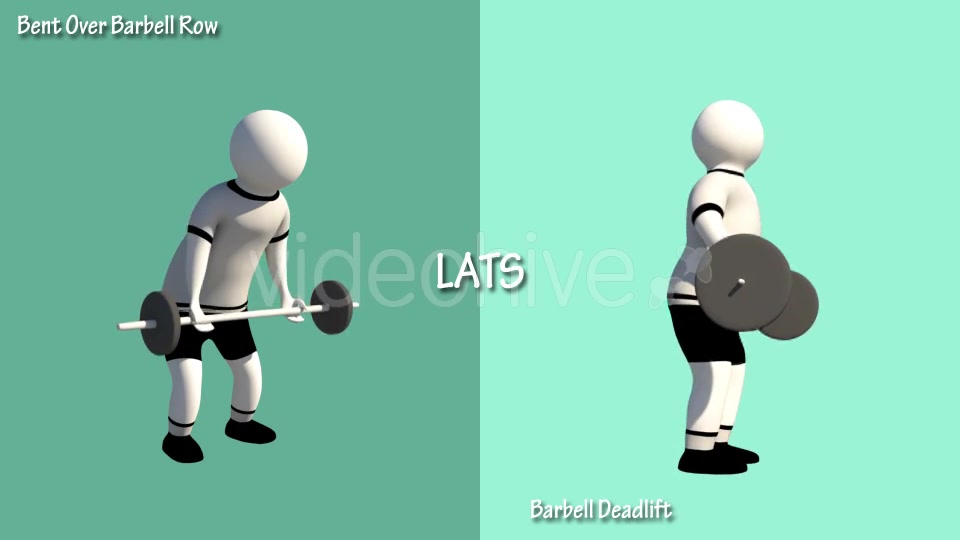 Gym Muscle Workout (Chest Forearms Lats Shoulders) Videohive 18624004 Motion Graphics Image 7
