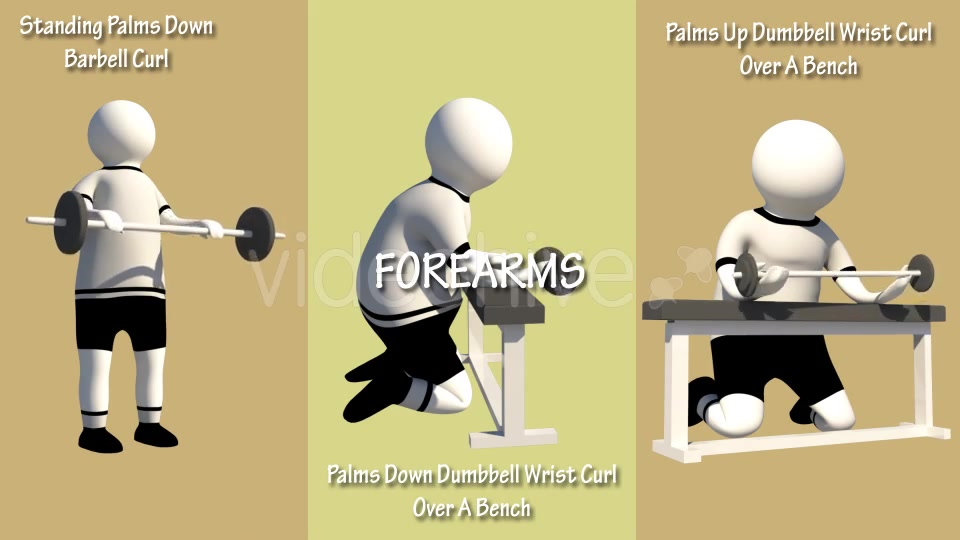 Gym Muscle Workout (Chest Forearms Lats Shoulders) Videohive 18624004 Motion Graphics Image 8