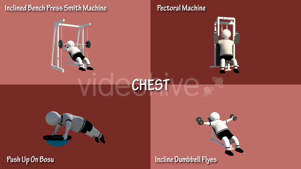Gym Muscle Workout (Chest Forearms Lats Shoulders) Videohive 18624004 Motion Graphics Image 9