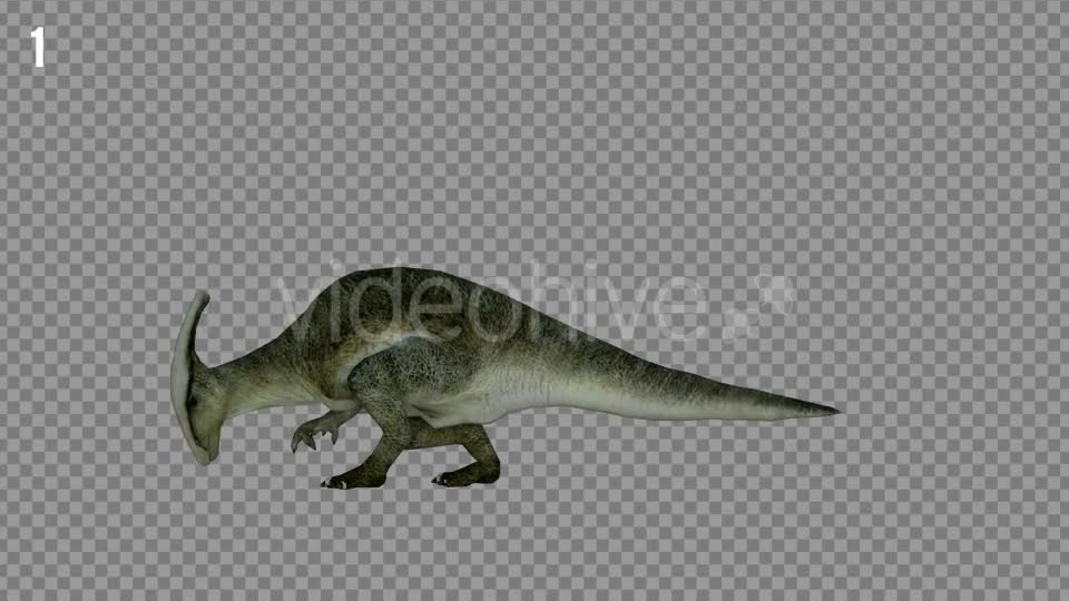 Hadrosaur 1 Realistic Pack 3 Videohive 21271602 Motion Graphics Image 1