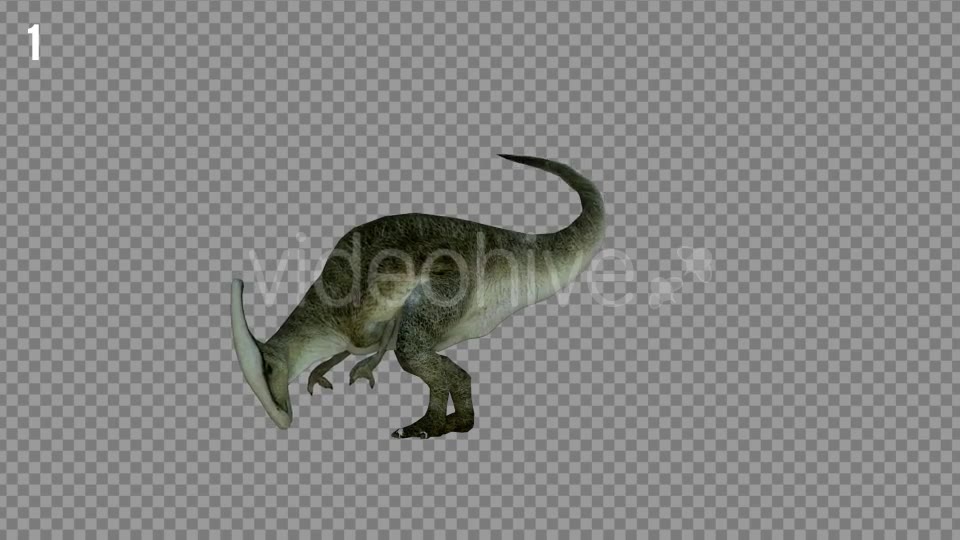 Hadrosaur 1 Realistic Pack 3 Videohive 21271602 Motion Graphics Image 2