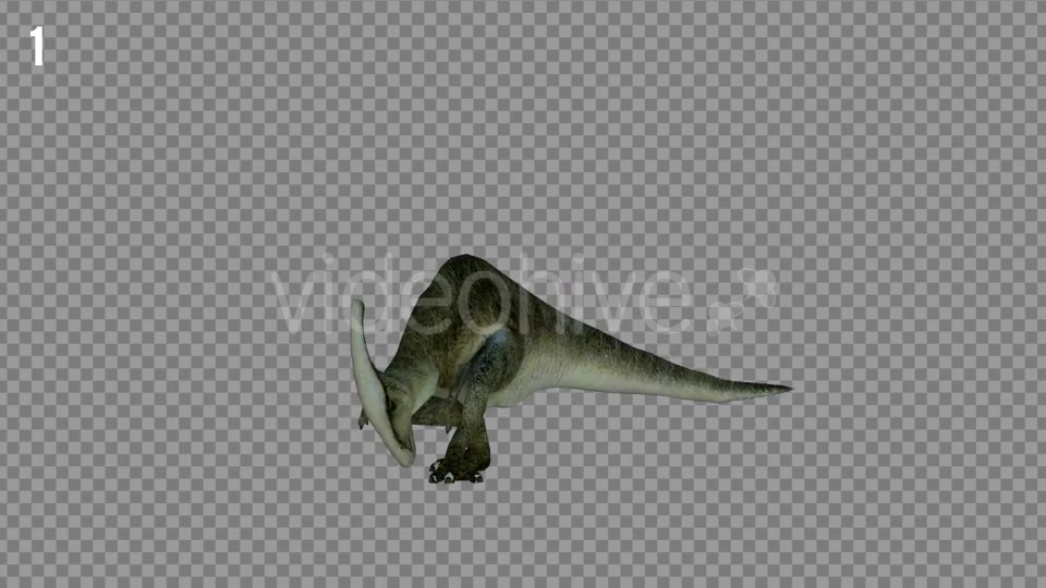 Hadrosaur 1 Realistic Pack 3 Videohive 21271602 Motion Graphics Image 3