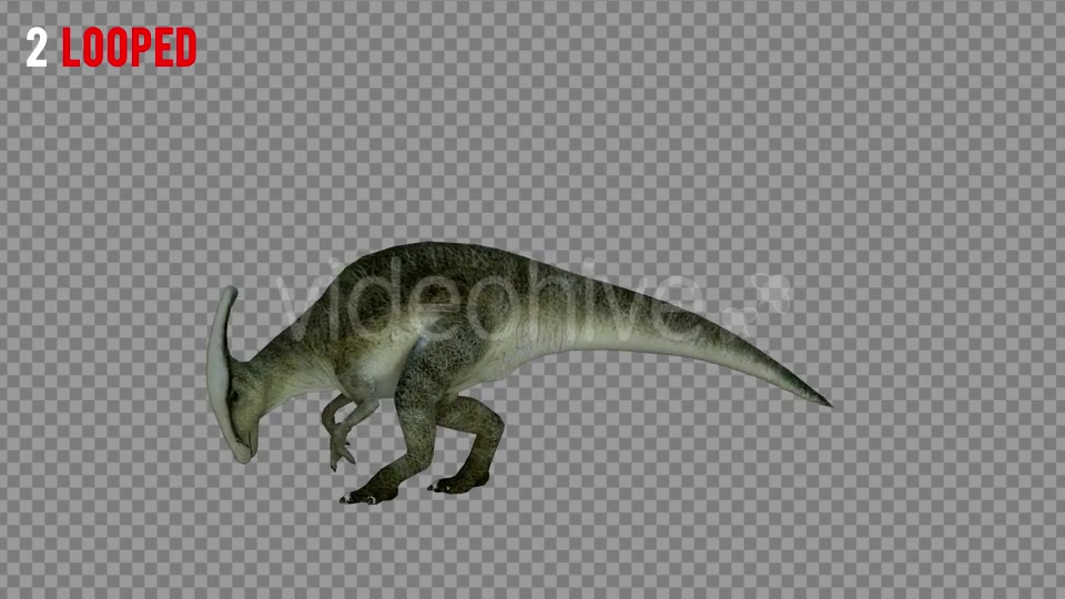 Hadrosaur 1 Realistic Pack 3 Videohive 21271602 Motion Graphics Image 4