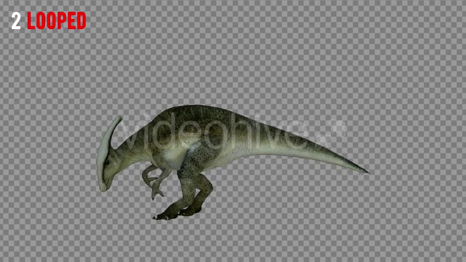 Hadrosaur 1 Realistic Pack 3 Videohive 21271602 Motion Graphics Image 5