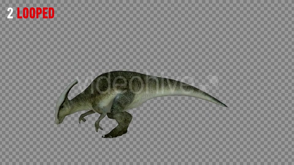 Hadrosaur 1 Realistic Pack 3 Videohive 21271602 Motion Graphics Image 6