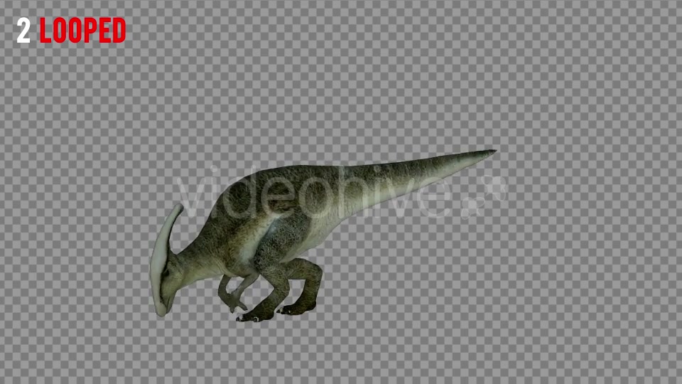 Hadrosaur 1 Realistic Pack 3 Videohive 21271602 Motion Graphics Image 7