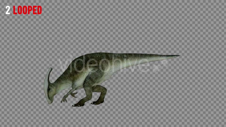Hadrosaur 1 Realistic Pack 3 Videohive 21271602 Motion Graphics Image 8