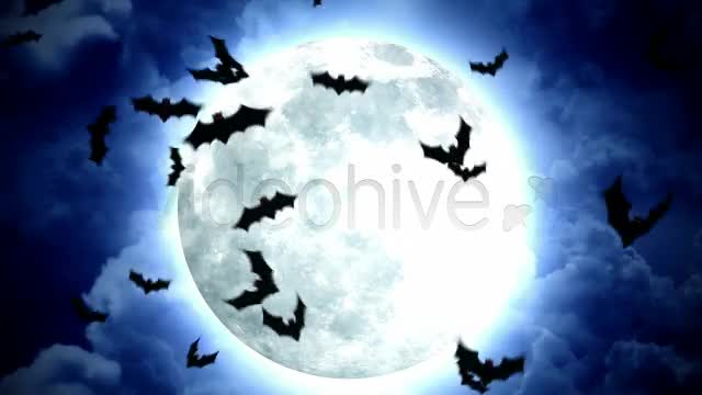 Halloween Moon and Bats Videohive 5787616 Motion Graphics Image 1