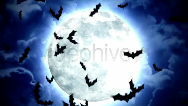 Halloween Moon and Bats Videohive 5787616 Motion Graphics Image 5