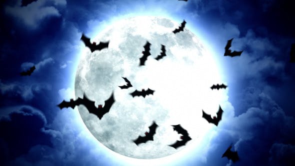 Halloween Moon and Bats - Videohive Download 5787616