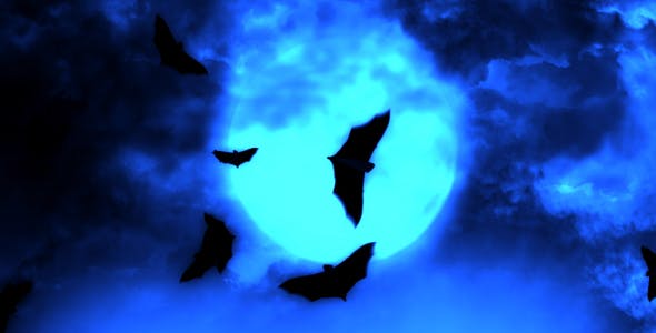 Halloween Night 1 - Download 20779335 Videohive