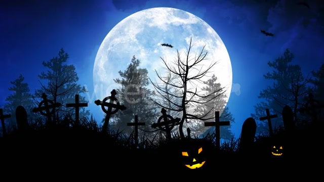Halloween Night Backgrounds Pack Videohive 9190478 Motion Graphics Image 4