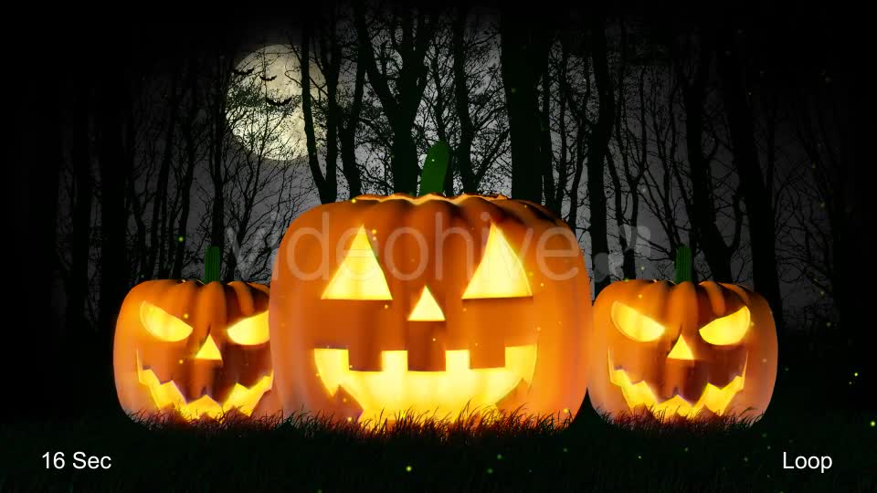 Halloween Pumpkin Videohive 20856767 Motion Graphics Image 1
