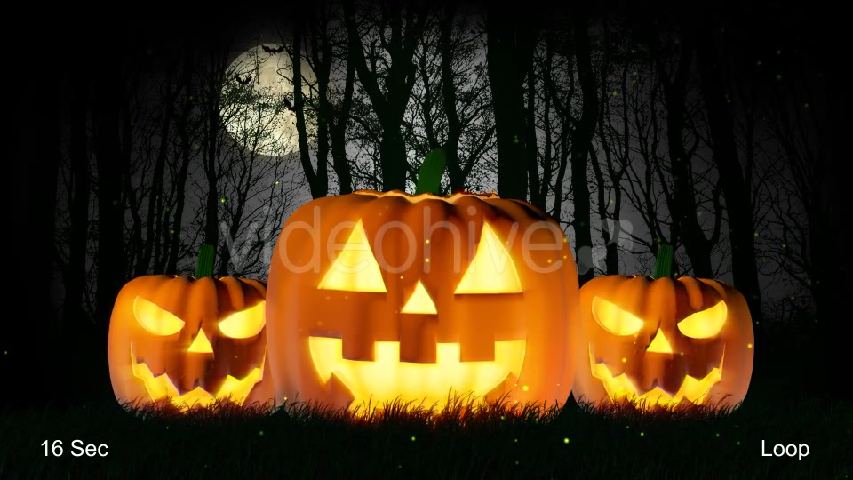 Halloween Pumpkin Videohive 20856767 Motion Graphics Image 4