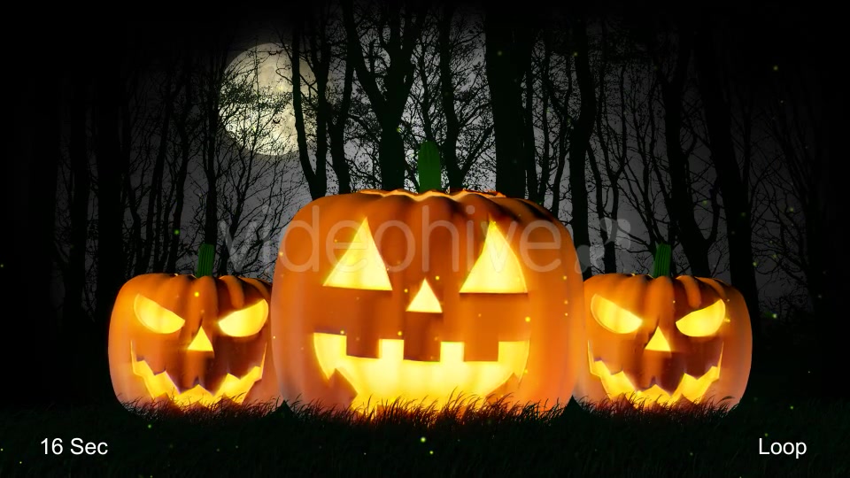 Halloween Pumpkin Videohive 20856767 Motion Graphics Image 6