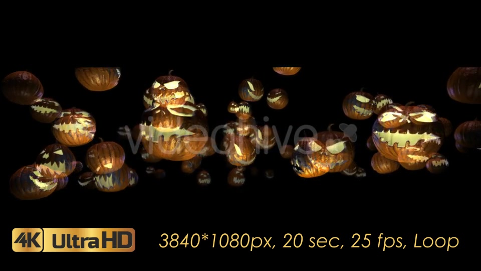 Halloween Pumpkins Rotation Videohive 20656504 Motion Graphics Image 10