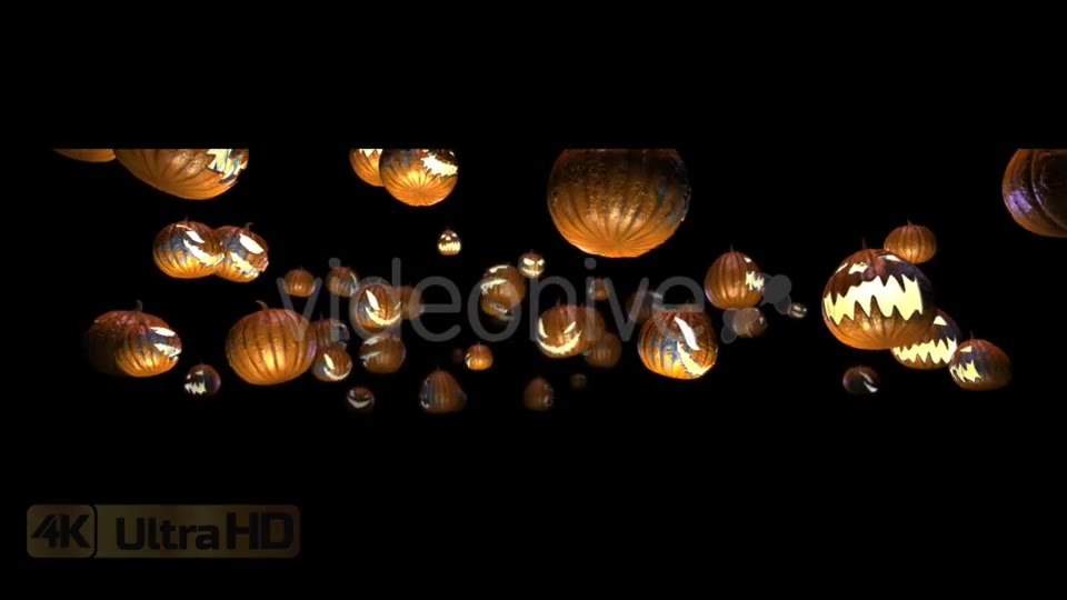 Halloween Pumpkins Rotation Videohive 20656504 Motion Graphics Image 2