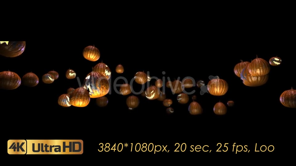 Halloween Pumpkins Rotation Videohive 20656504 Motion Graphics Image 4