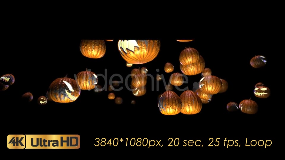 Halloween Pumpkins Rotation Videohive 20656504 Motion Graphics Image 6