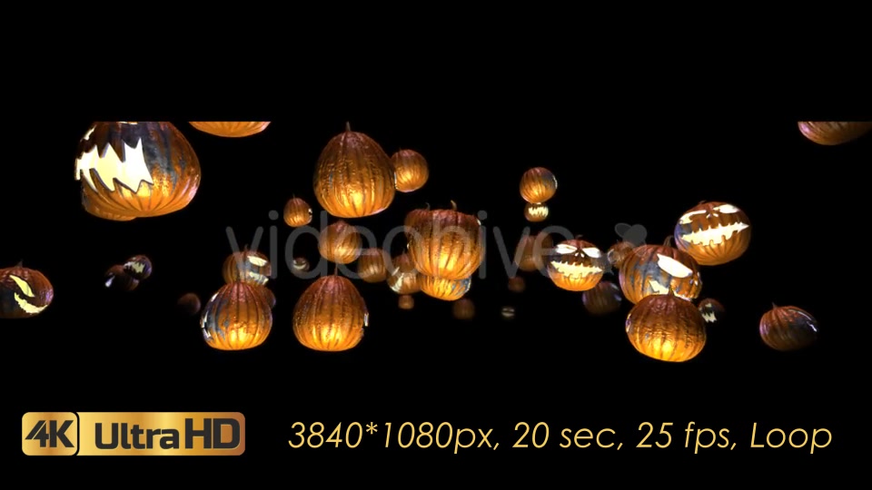 Halloween Pumpkins Rotation Videohive 20656504 Motion Graphics Image 7