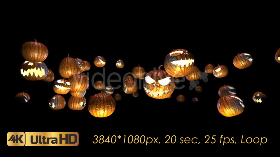 Halloween Pumpkins Rotation Videohive 20656504 Motion Graphics Image 8