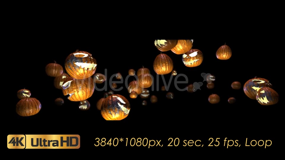 Halloween Pumpkins Rotation Videohive 20656504 Motion Graphics Image 9
