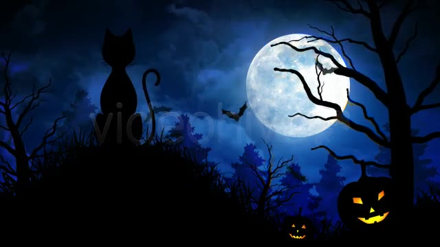 Halloween Scary Cat Videohive 5792981 Motion Graphics Image 2