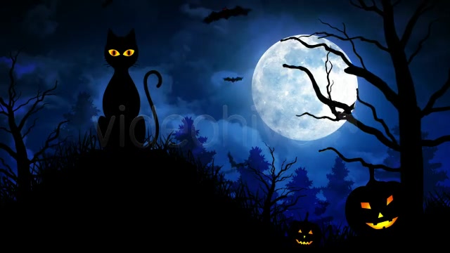Halloween Scary Cat Videohive 5792981 Motion Graphics Image 3
