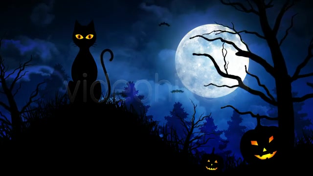 Halloween Scary Cat Videohive 5792981 Motion Graphics Image 5