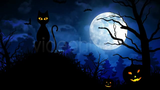 Halloween Scary Cat Videohive 5792981 Motion Graphics Image 6