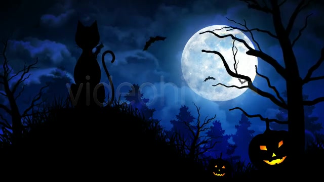 Halloween Scary Cat Videohive 5792981 Motion Graphics Image 7