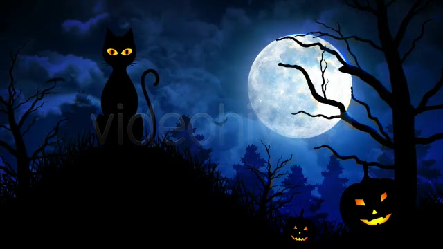 Halloween Scary Cat Videohive 5792981 Motion Graphics Image 8