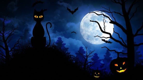 Halloween Scary Cat 5792981 Videohive Rapid Download Motion Graphics