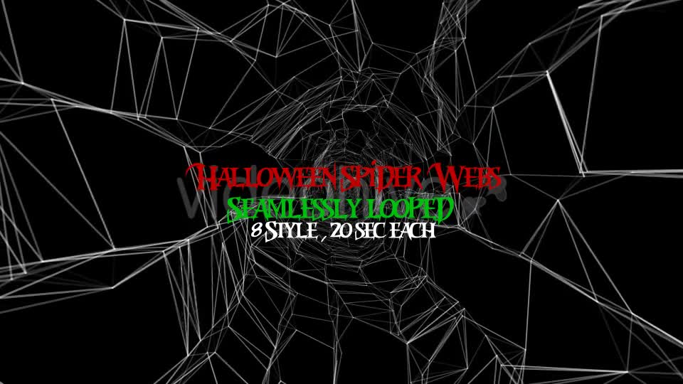 Halloween Spider Web Pack Videohive 20687879 Motion Graphics Image 1