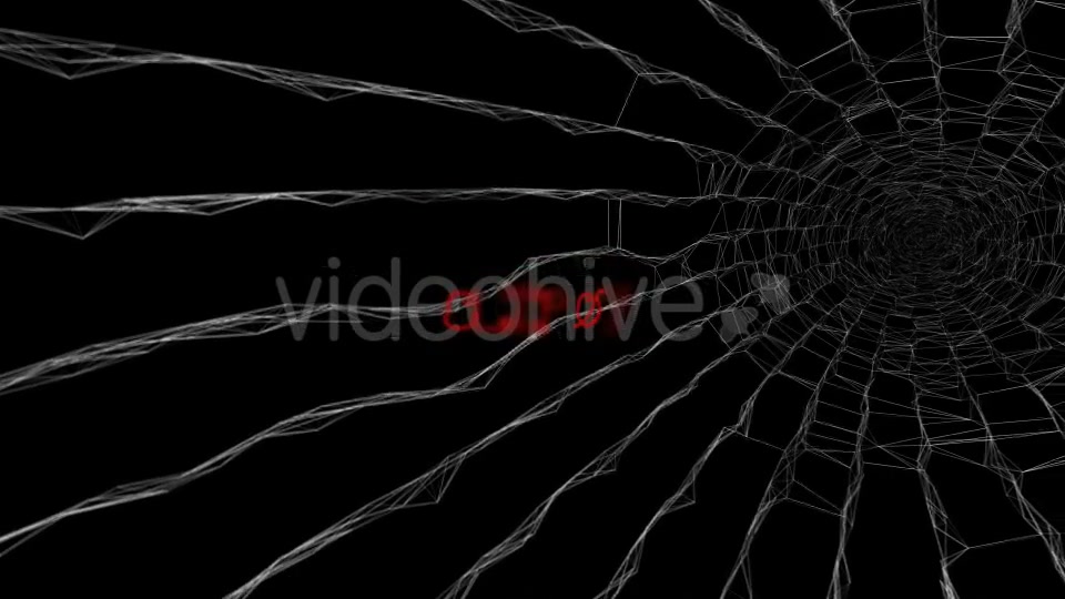 Halloween Spider Web Pack Videohive 20687879 Motion Graphics Image 11